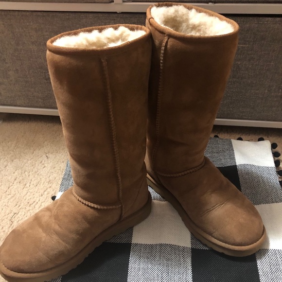 UGG Shoes - Ugg tall boots